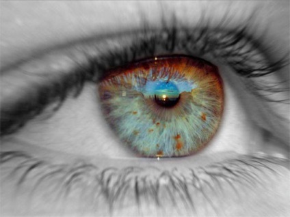 Hogyan határozza meg a szem színe a születendő gyermeket