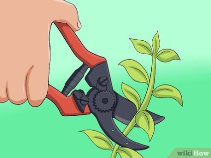 Hogyan tisztítható kerti szerszámokat rozsda 1