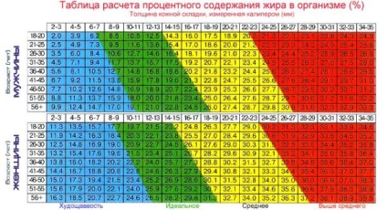 Hogyan állapítható meg, a testzsír százaléka