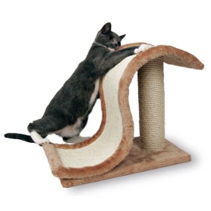 Hogyan elválaszt macska, hogy szakadjon a tapéta és kárpit a bútorok