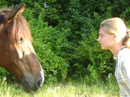 Hogyan barátkozni egy ló - helyszínen a lovak