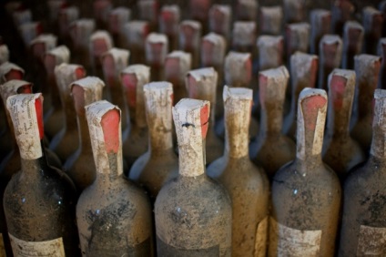 Hogyan kell tárolni a bort hordó, műanyag palackok