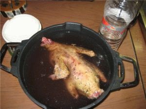 Hogyan kell főzni a liba a sütőbe úgy, hogy a hús puha és lédús
