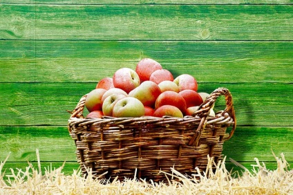 Hogyan száradni az almát otthon lépésről lépésre
