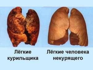 Milyen hatással van a dohányzás a légzési és keringési rendszer