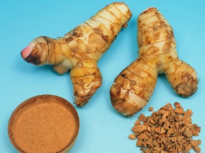 Galangal fotó és leírás (galangal) Galangal kép és leírás
