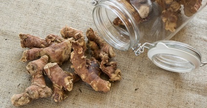 Galangal fotó és leírását (fotók) Galangal kép és leírás