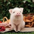 Miért álom könnyek, álom értelmezés álom könnyek az (álom értelmezése) Miért álom könnyek, könnyek álmában könyv álom