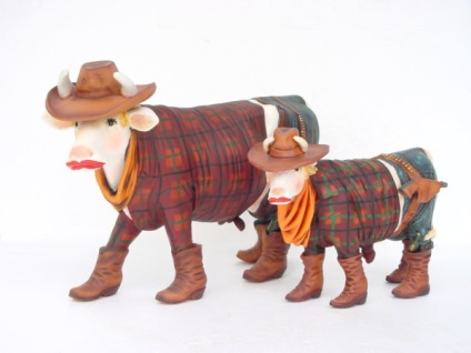 A szobát egy cowboy módra (amerikai ország stílus) A szobát egy cowboy stílusban