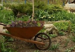 Konténer kertészkedés 27 fotó mobil ágyak