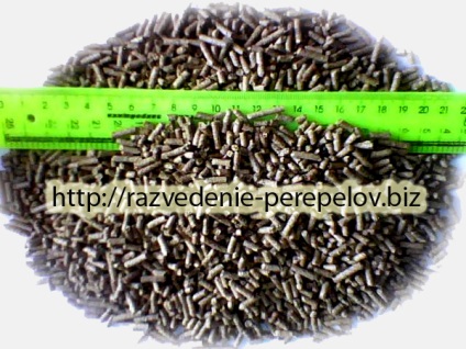 Etetés fürj minden korosztály otthon - egy leírást a teljes étrend (étel) Etetés fürj minden korosztály otthon - egy leírást a teljes étrend