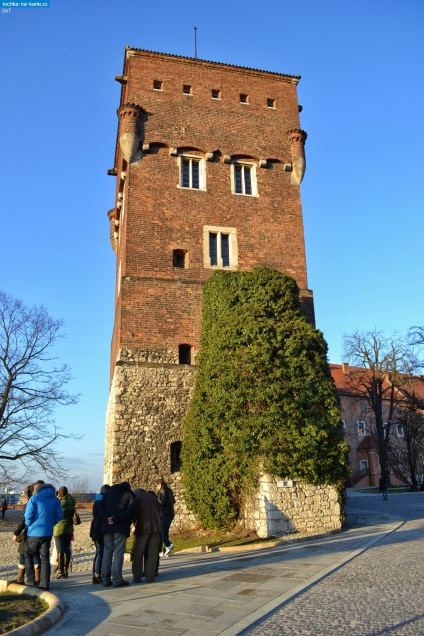 Krakkó - polka-lepke