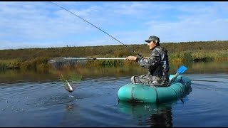 Pike halászat pörgő video (csuka) Pike halászat egy forgó videó