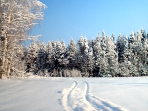 A holdnaptár kertész 2017