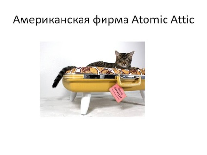 Bútor macskák, amelyek díszítik a belső a lakás, a város macskák