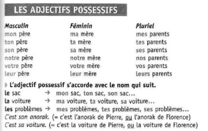 Займенники у французькій мові - особисті, вказівні, присвійні, відносні,