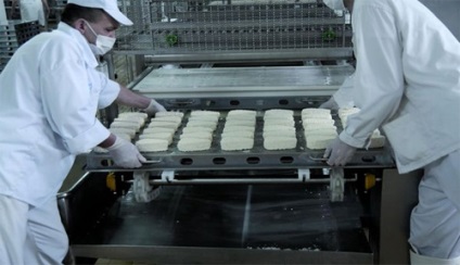 Молочний бізнес організація міні-заводу з виробництва сиру
