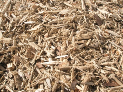 Talajtakarás különösen hasznos fű, fűrészpor, fakéreg, tűlevelek, film