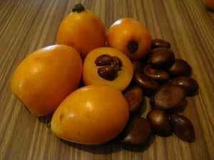 Naspolya hasznos tulajdonságai, egy leírást a gyümölcsöt, hogyan kell enni