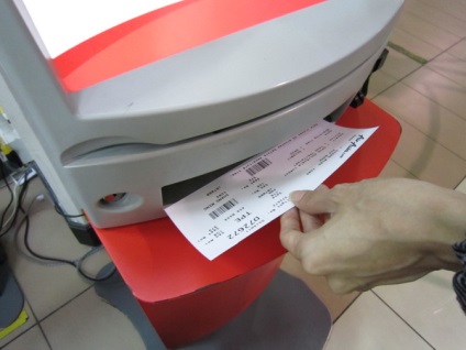 Az online check-in Domodedovo, Sheremetyevo, Aeroflot