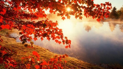Leírás autumn woods az élénk színek (leírás) Leírás őszi erdő élénk színek