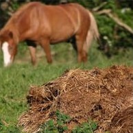 Szerves trágya típusú és az alkalmazás (saprorpel) Szerves trágya típusú és felhasználású