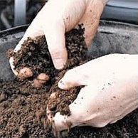 Szerves trágya típusú és felhasználású (műtrágyák) Szerves trágya típusú és felhasználású