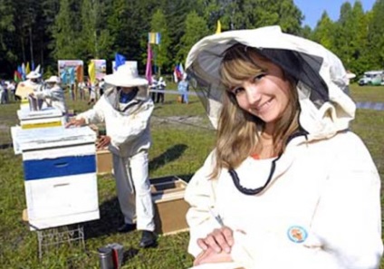 Apiary kezdőknek indul el, a fő munka