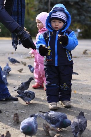 Piknik angolul (a fejlődés korai szakaszában a gyermek kora gyermekkori emlékei gondolkodás) Piknik angol