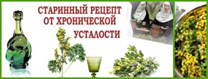 Fehér üröm terápiás tulajdonságai, felhasználása, ellenjavallatok (tulajdonságok) Fehér üröm terápiás tulajdonságai, felhasználása, ellenjavallatok