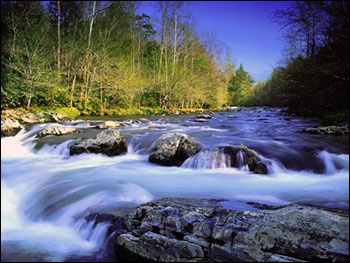 Nature Tennessee, USA Encyclopedia (Tennessee) Nature Tennessee, USA enciklopédia