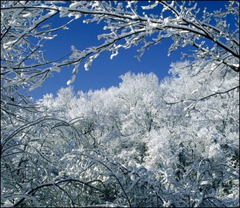 Nature Tennessee, USA enciklopédia