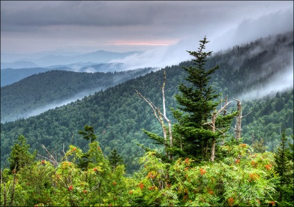 Nature Tennessee, USA enciklopédia