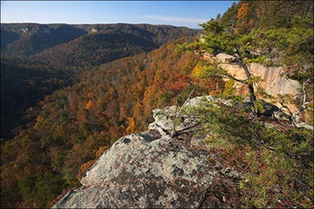 Nature Tennessee, USA enciklopédia
