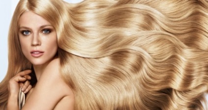 Szakmai haj olaj egy jobb orvosság a haj tippeket, értékelések és vélemények a
