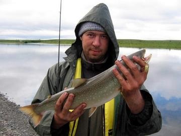 Halászata brook trout - egyéb hal (egyéb) Halászata brook trout - más halak