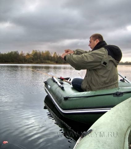 Fisherman megállt g (köze sem) Fisherman megállt g