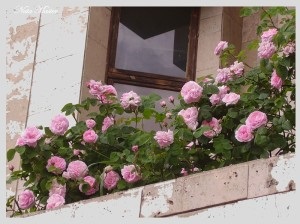 Rózsafüzér az erkélyen