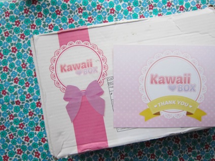 A legtöbb mimishnaya doboz a világ kawaii box nemzetközi rally, szépségben bízunk