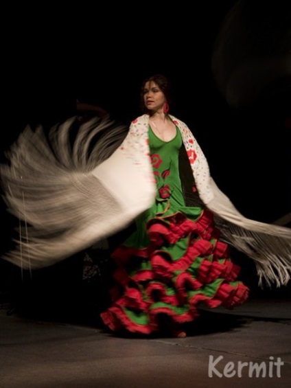Flamenco tánciskola bandada flamenco - ez a tánc az élet és halál