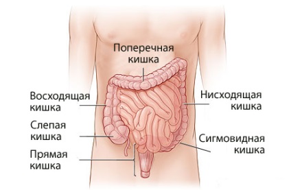 Irritábilis bél szindróma tünetei gyermekeknél, kezelésére, megelőzésére, okozza a betegség