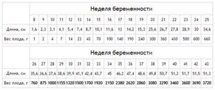 Mennyi gyümölcsöt gyarapodik hetente (nyereség) Mennyi gyümölcsöt gyarapodik hetente