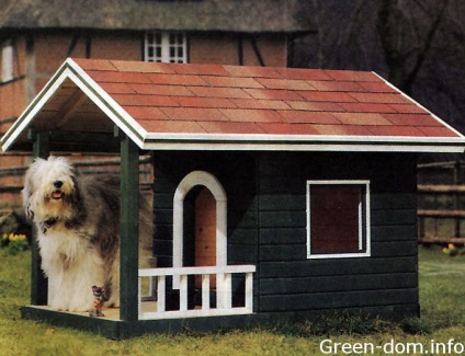 A kutya is szüksége van egy ház, zöld ház
