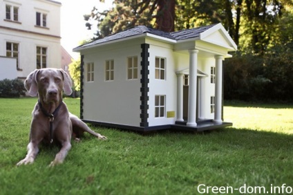 A kutya is szüksége van egy ház, zöld ház