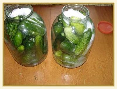 Pickles, receptek domovesta