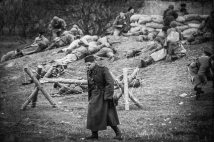Megható leveleket elölről (26 fotó) - triniksi (nagy) Megható leveleket elölről (26 fotó) - triniksi