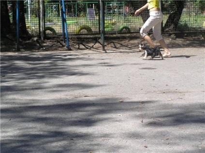 Lessons felvezető kép kezdőknek (Krass Orion) Lessons felvezető kép kezdőknek