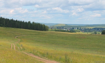 Vakutin (szürke) Stone (szürke) Vakutin (szürke) kő
