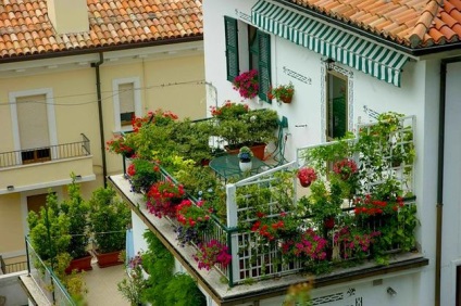 Függőleges kertészeti erkélyek - fényképek és példák