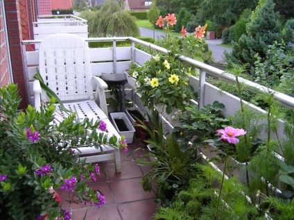 Függőleges kertészeti erkélyek - fényképek és példák